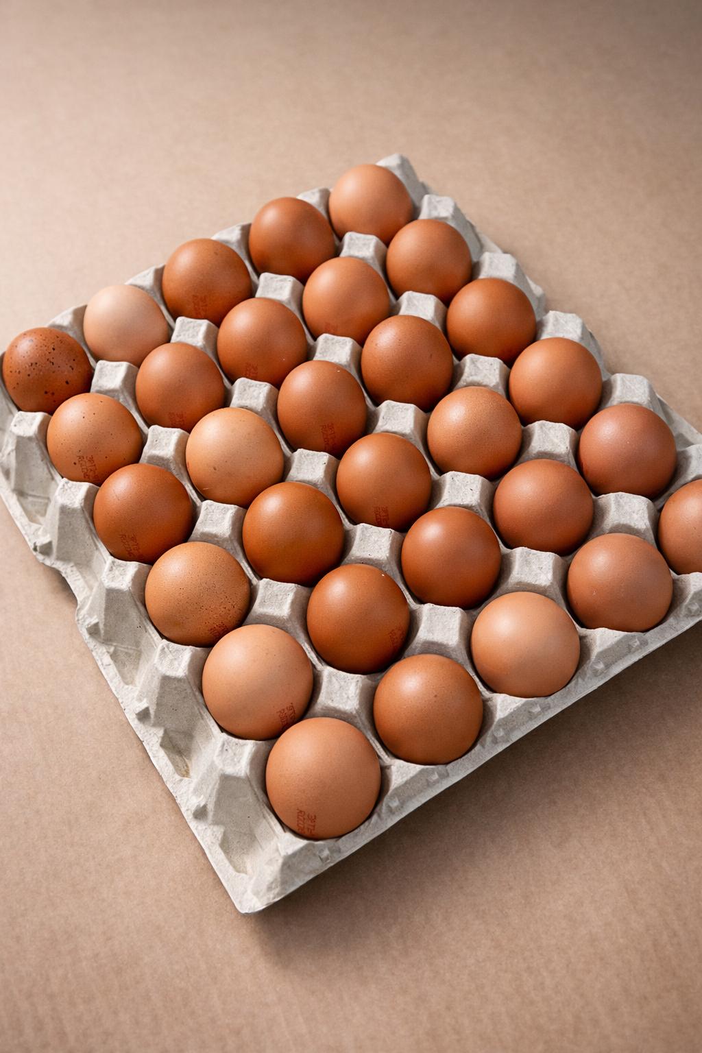 Fresh Eggs